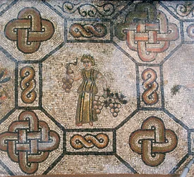 Dettaglio del pavimento della Basilica paleocristiana di Aquileia, Udine